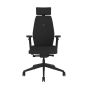 Positiv Plus (high back) Ergonomic Office Chair - black, front view, with armrests and headrest