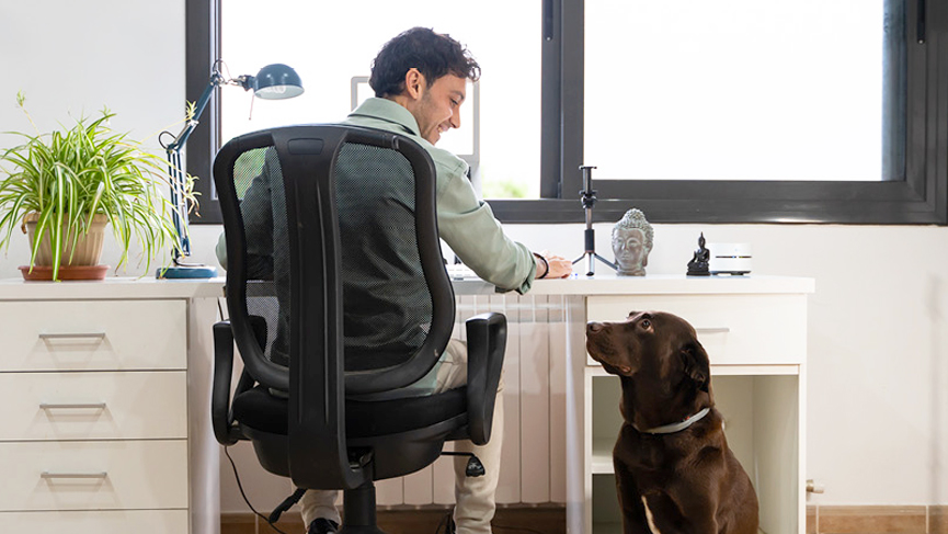 Working from home and dog ownership: begging for more